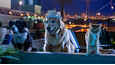 Ausschnitt aus dem Film - Cats & Dogs 3: Pfoten vereint