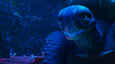 Ausschnitt aus dem Film - AINBO: Spirit of the Amazon