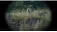 Ausschnitt aus dem Film - Nebelkind - The End of Silence