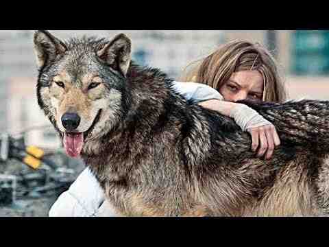 Wild - Trailer & Filmclips