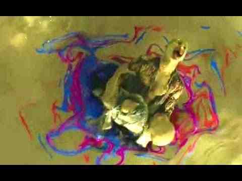Suicide Squad - TV Spot 5