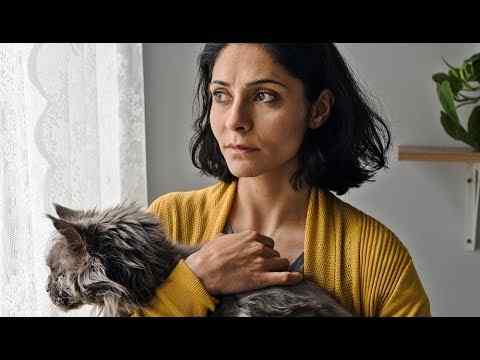 Die defekte Katze - trailer 1