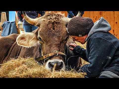 Butenland - trailer