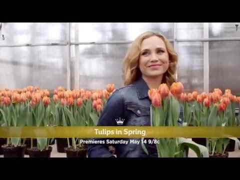 Tulips in Spring - trailer