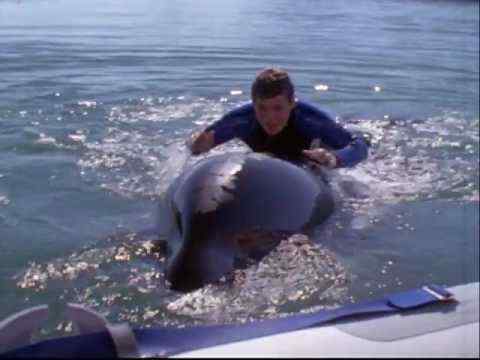 Free Willy 3: The Rescue - trailer