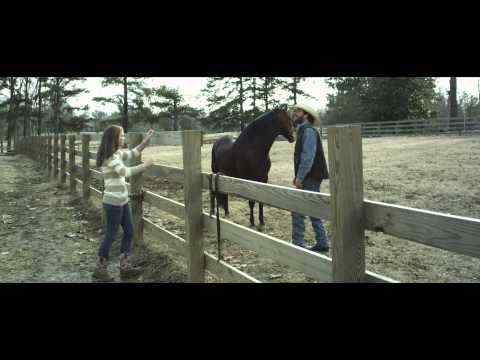 A Fine Step - trailer