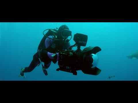 Sharkwater Extinction - trailer