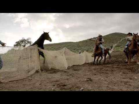 Our Wild Hearts - trailer