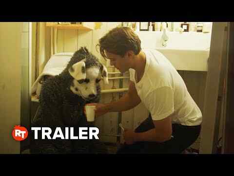 Good Boy - trailer 1