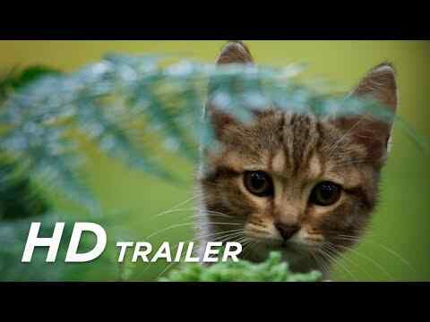 Lou - Abenteuer auf Samtpfoten - trailer 1