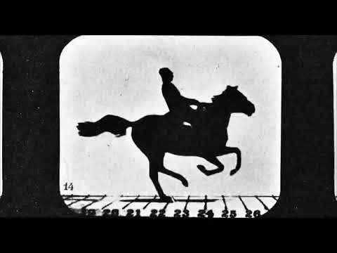 And the King Said, What a Fantastic Machine - trailer 1