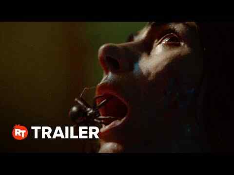 Sting - trailer