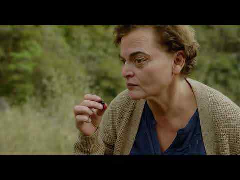 Shashvi shashvi maq'vali - trailer
