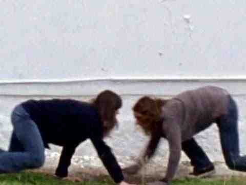 Attenberg - trailer