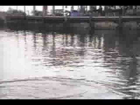 Flipper - trailer