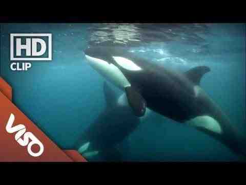 Blackfish - Clip 