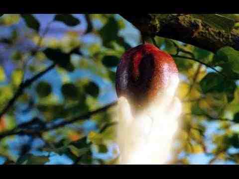 Noah - Clip 