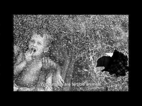 The Salt of the Earth - trailer