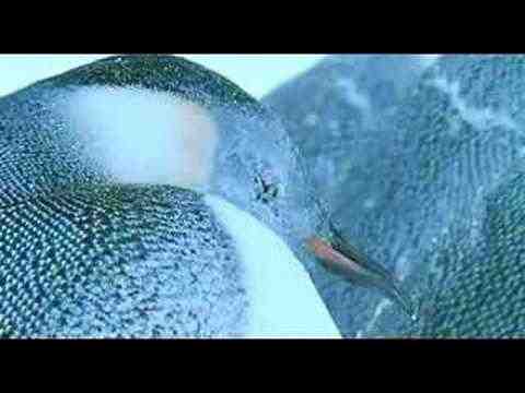 March of the Penguins - trailer